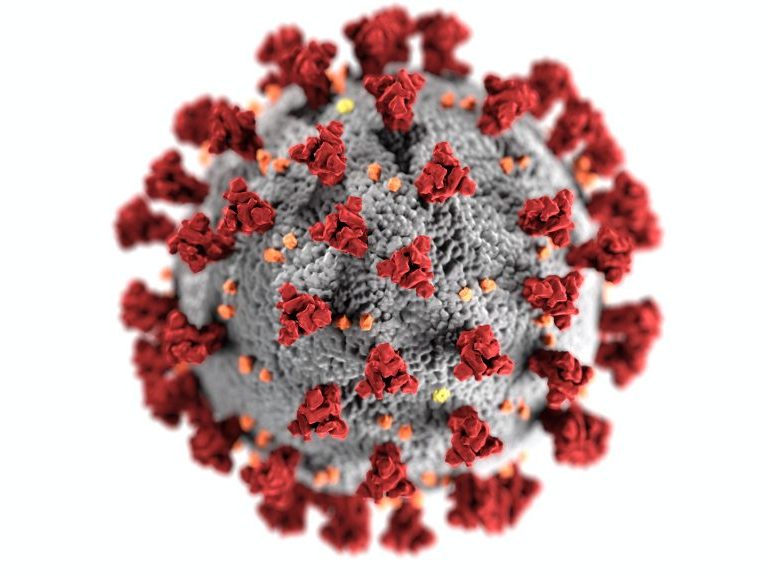 Corona Virus Corona Virus