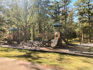 Indian Srings Playground One