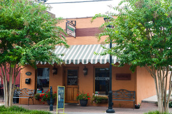 View More: http://imagesbyautumn.pass.us/reidsville-chamber celtic fringe