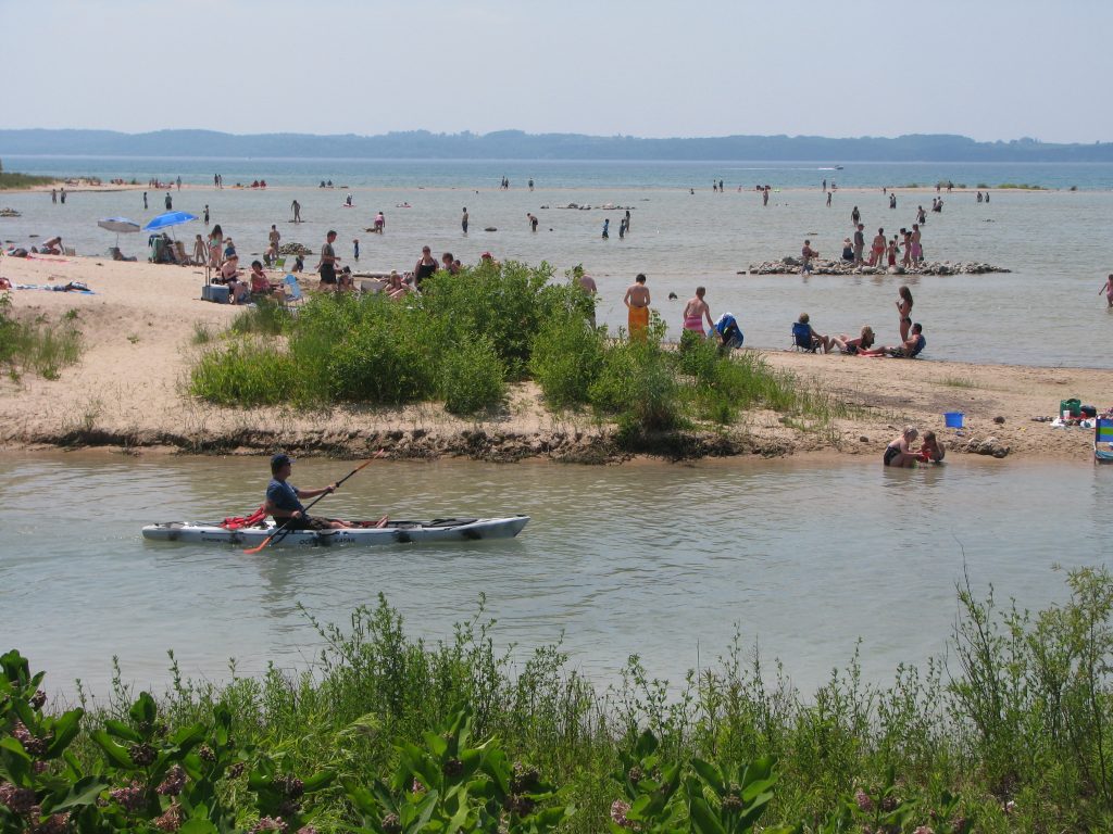 Beach Kayaker