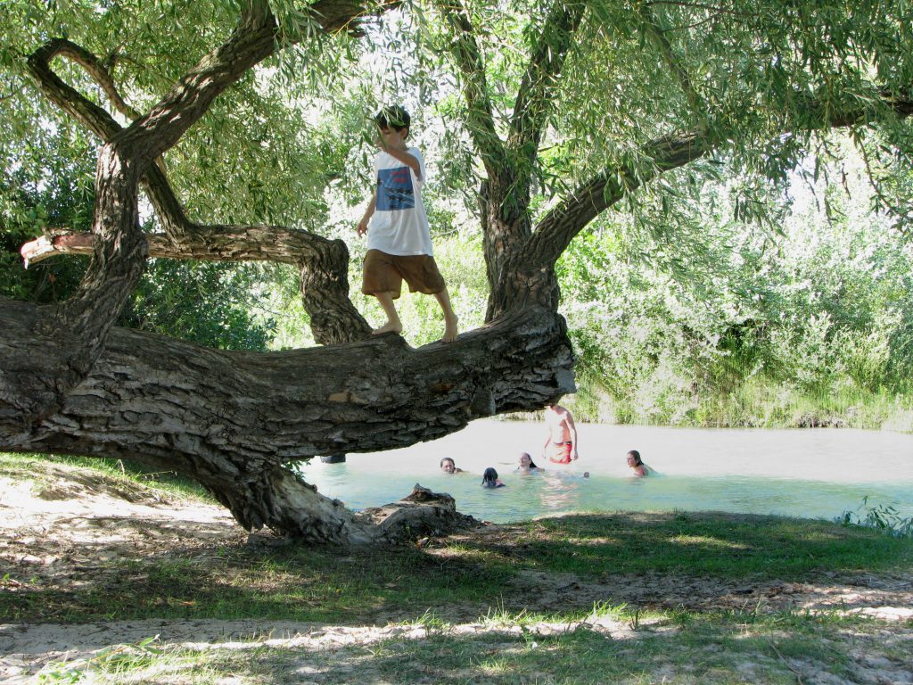 River_-_tree_kids_080730-2 River_-_tree_kids_080730-2