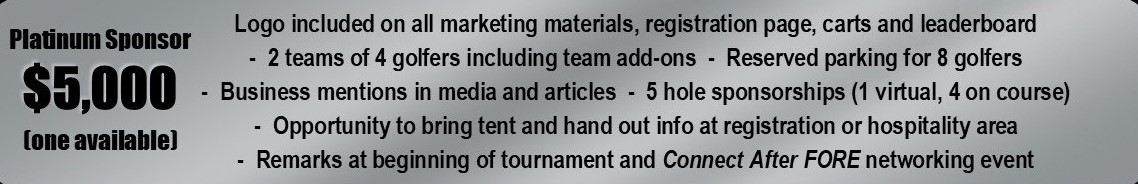 Platinum Sponsor Platinum Sponsor