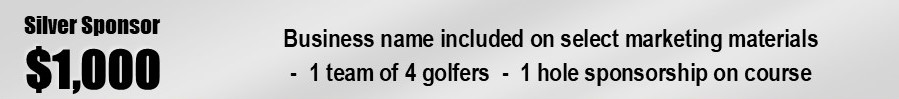 Silver Sponsor Silver Sponsor
