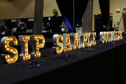 Middleton_Chamber_gala_2017-30_mediumthumb Middleton_Chamber_gala_2017-30_mediumthumb