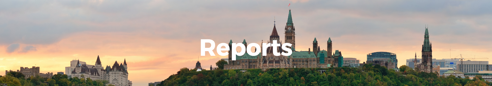 Reports Reports