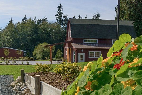 31-Whidbey Island Farmhouse-PIX4722 -600px Whidbey Island Farmhouse, opposite view
