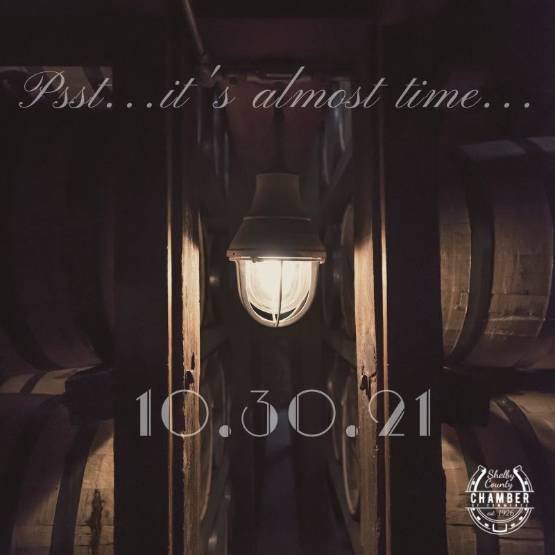 teaser 1 teaser 1