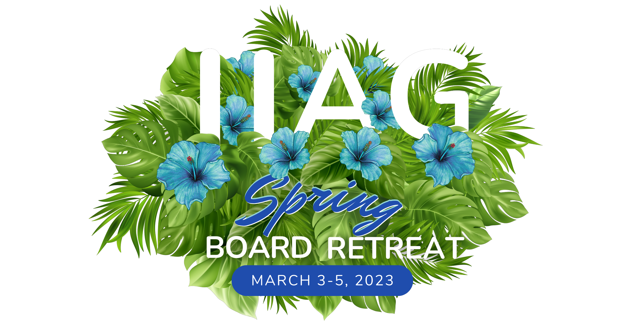 Spring Board Retreat transp.