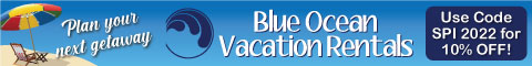 Blue-Ocean-Realty-Chamber-Banner-Ad-460x60