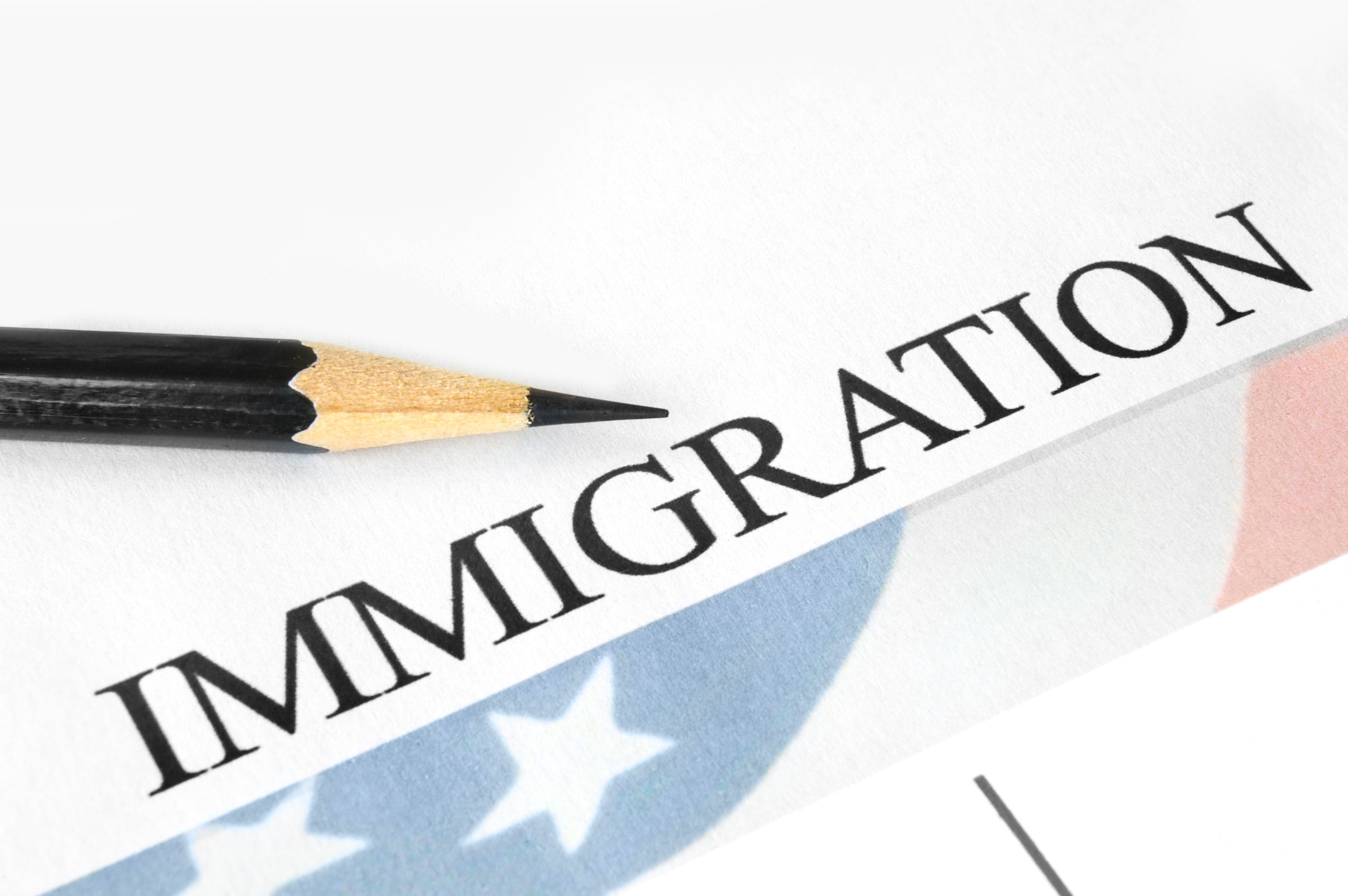 Immigration image