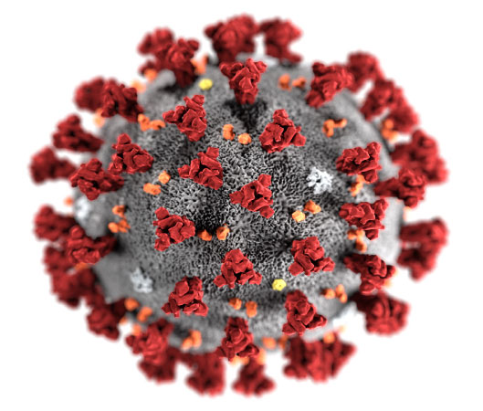 Coronavirus Thumbnail