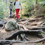 Kids hiking