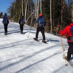 People Snowshoeing