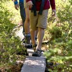 People hiking on trail