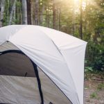 Tent in forest