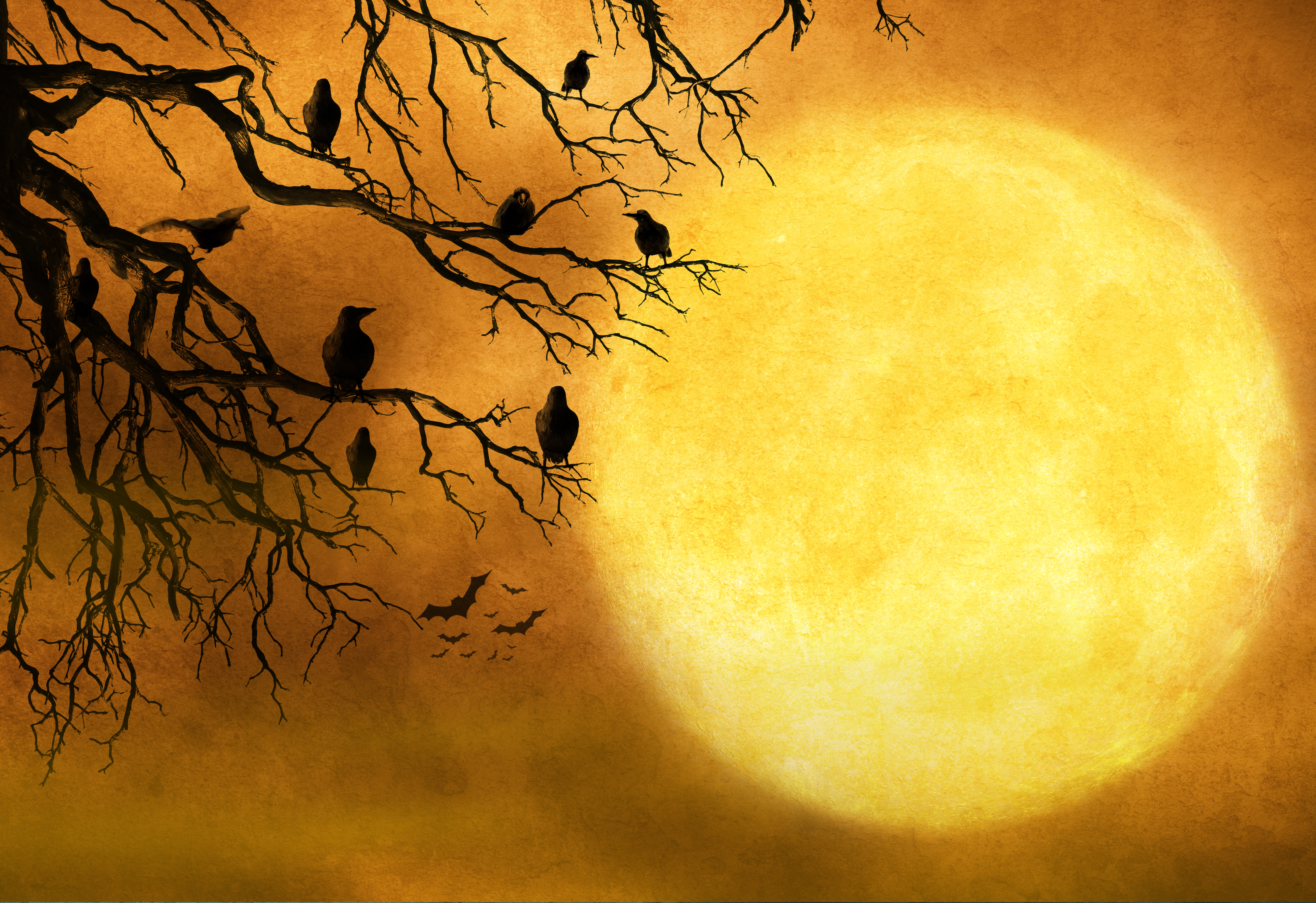 Black ravens sit in a barren tree against a full moon on Halloween night. The night time sky provides ample room for copy and text.