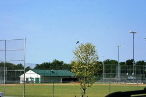 Sports Field in Anna