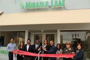 IMG_6438 Miracle Leaf Health Center - Clematis
