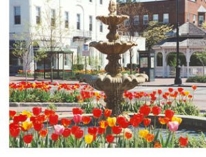 Why Do Business in Garden City - Garden City Chamber of Commerce - NY