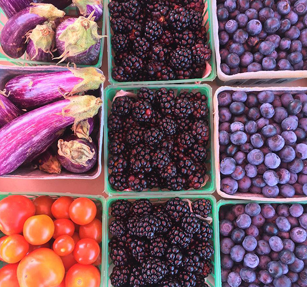 Mount PleasantTitus County Chamber of Commerce