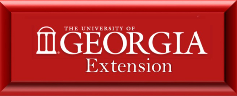 University of Georgia extension