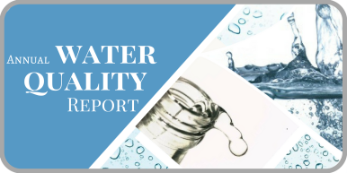 water report final