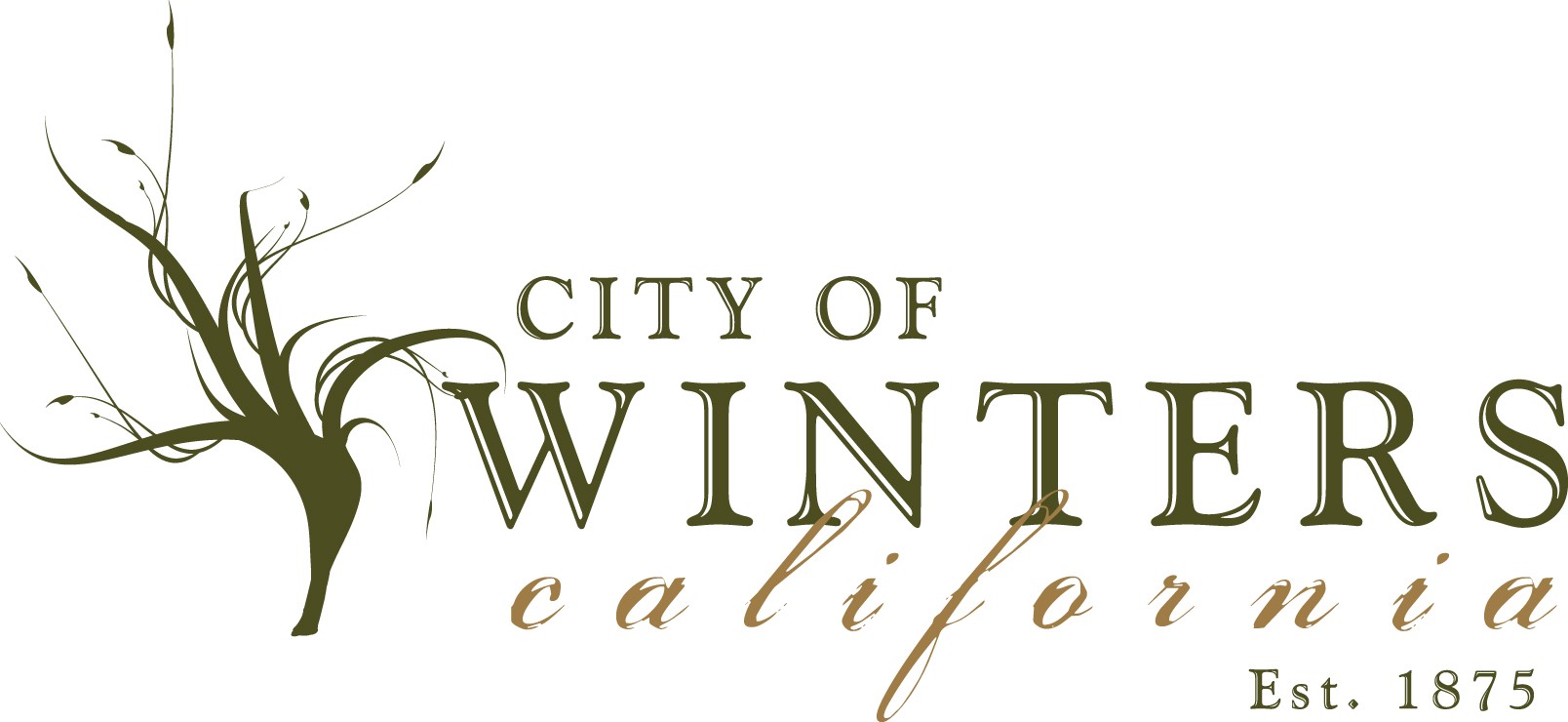 Benefits Winters Chamber of Commerce