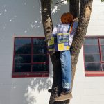HRB Scarecrow 2