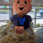 YoloFederalScarecrow