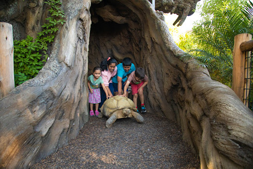 Palo Alto Junior Museum & Zoo