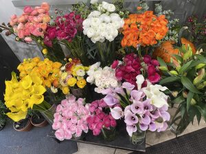 Larchmont Florist NY-5
