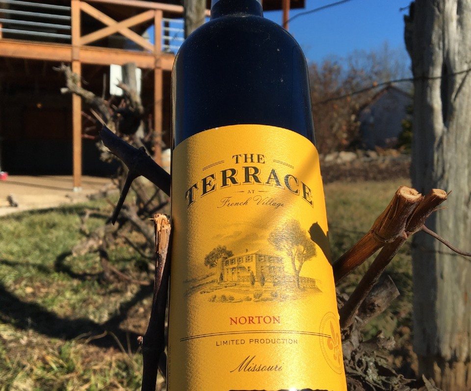 the terrace 960x798 the terrace 960x798