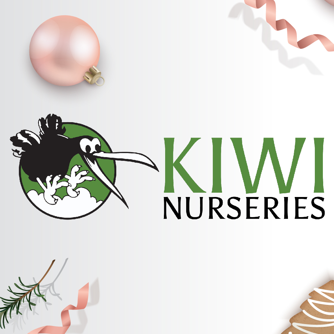 Post 6 - Kiwi Nurseries