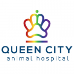 Queens City Animal Hospital