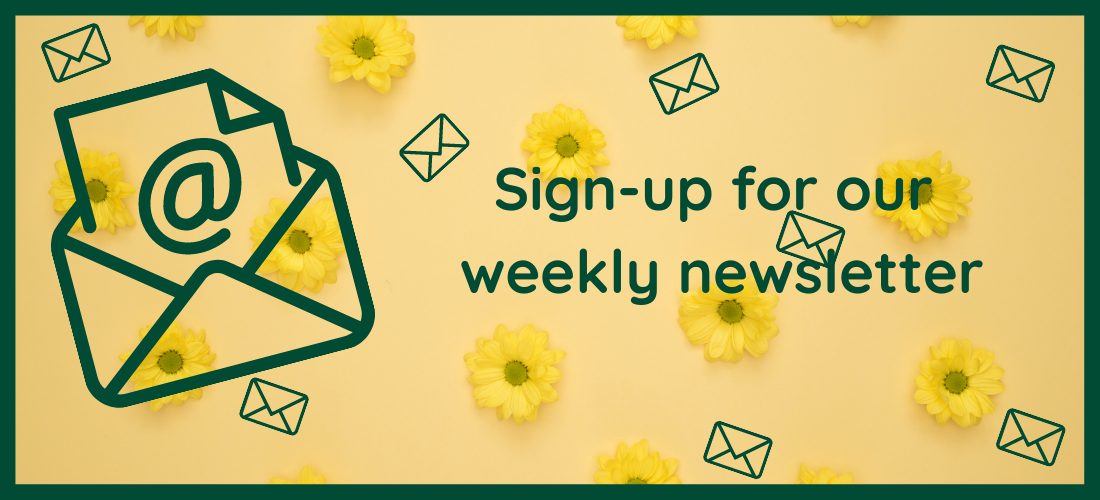 Newsletter Sign-Up