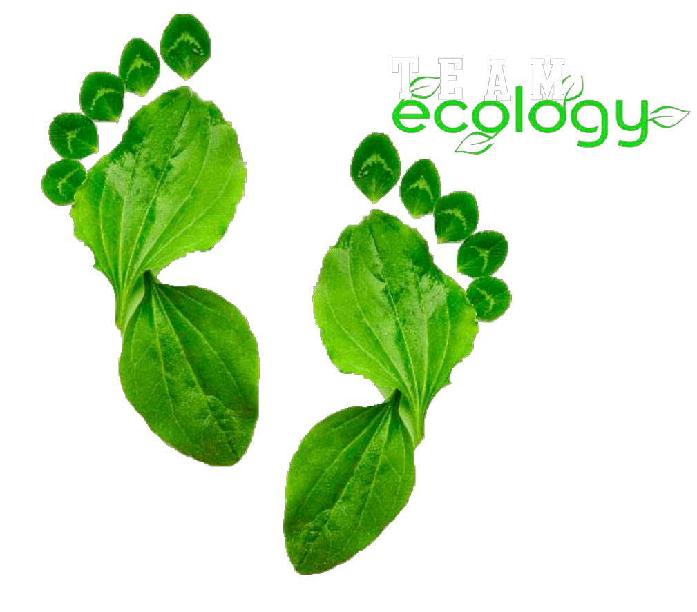 Team Ecology Logo with feet