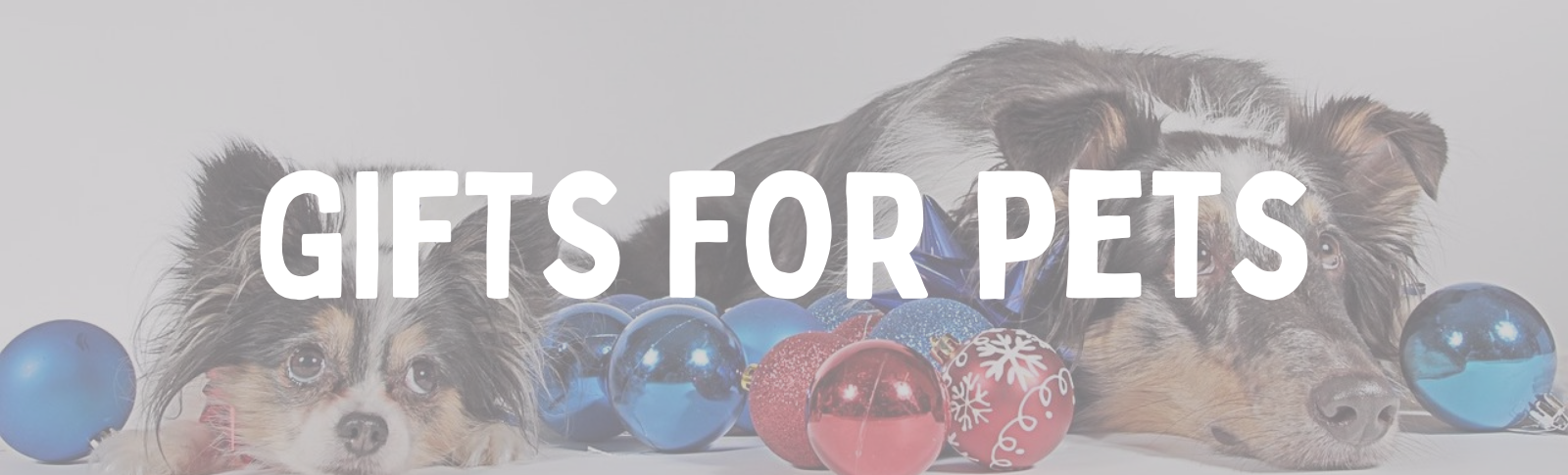 GIFTS FOR PETS