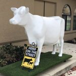 Blank "Herd on the Street" cow, full-size fiberglass cow - Nov 8 2021