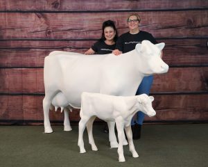 BMD unpainted cow