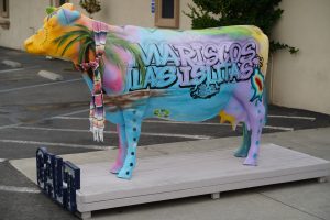 Las Islitas finished cow - Herd on the Street