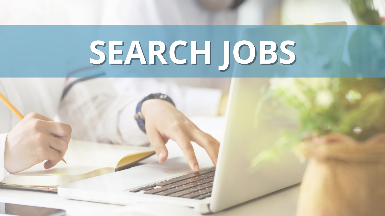 search jobs link
