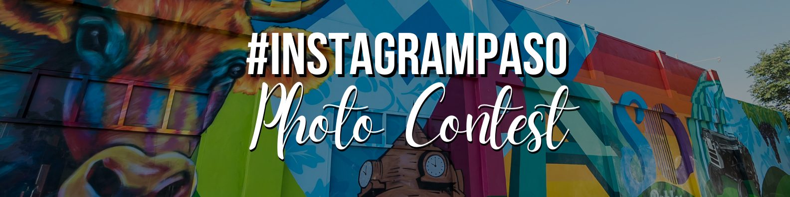 instagram paso photo contest