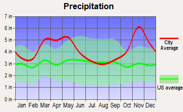 Precipitation Precipitation
