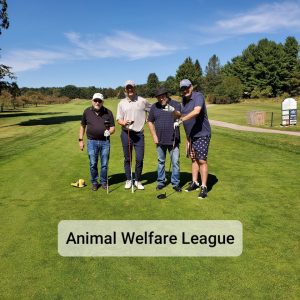 AnimalWelfareLeague AnimalWelfareLeague