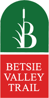BVT.logo