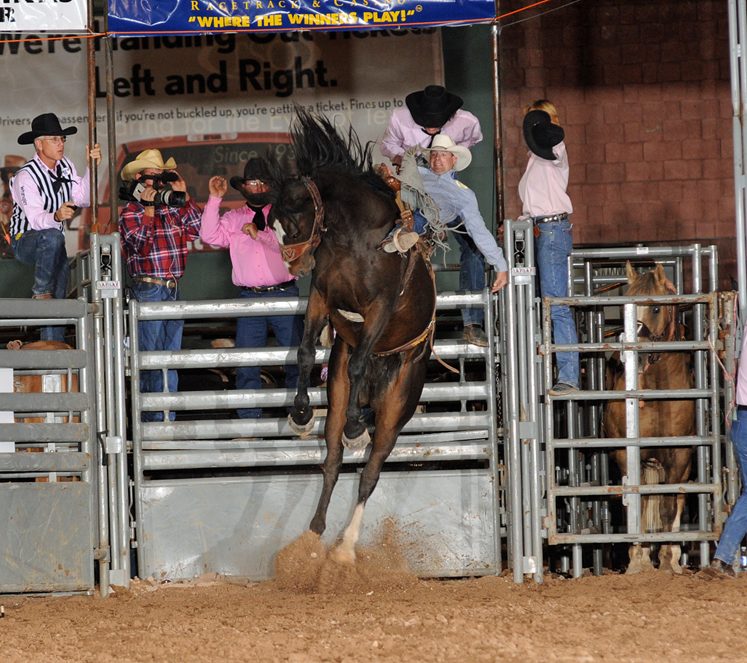 Rodeo - Horse Bucking
