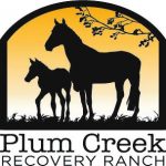 plum creek recovery