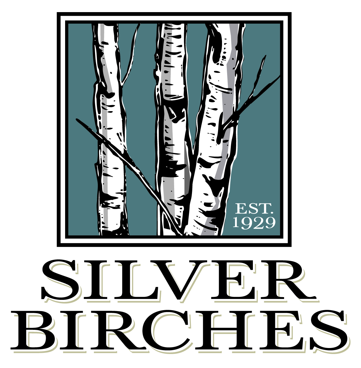 Silver Birches