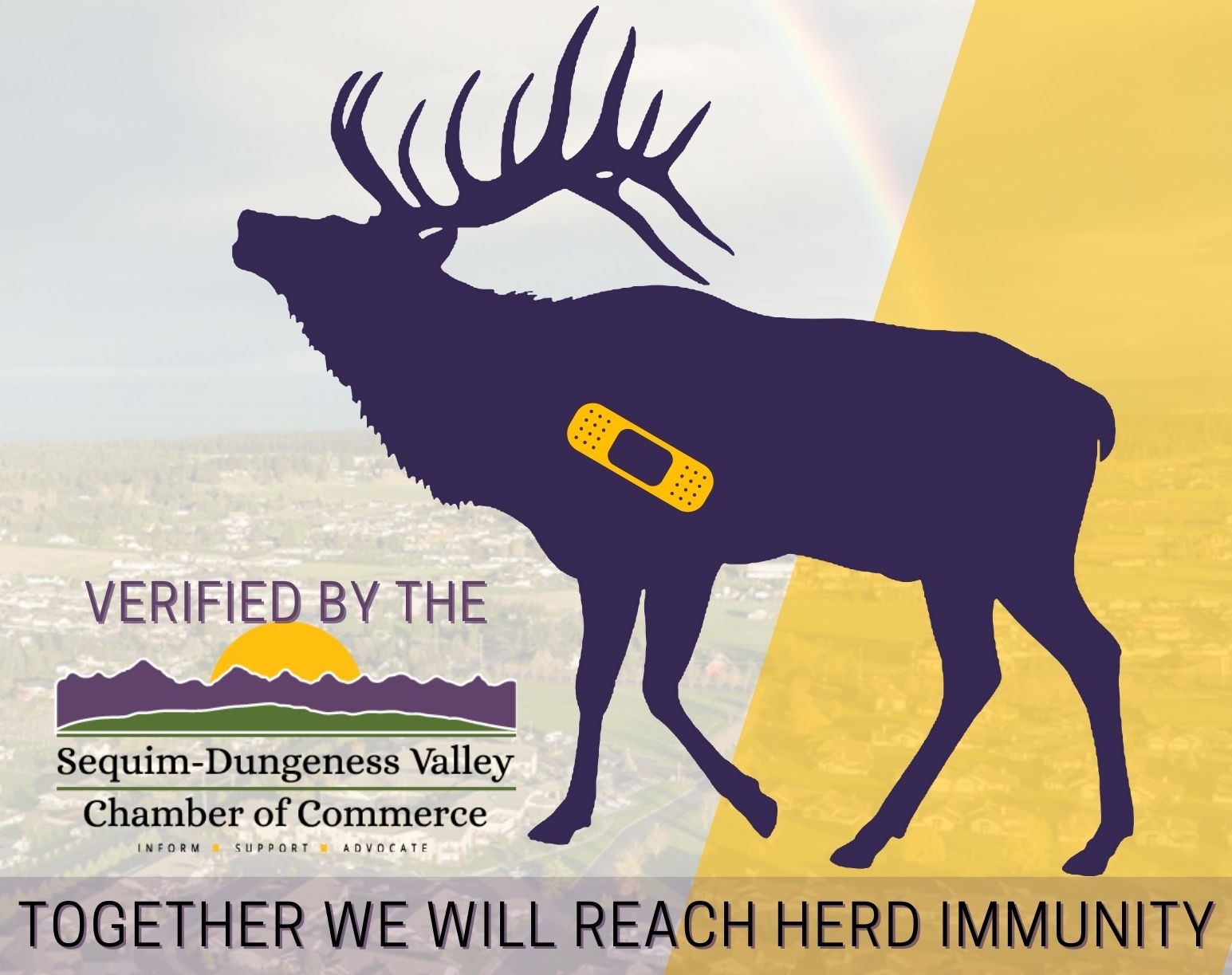 HERD IMMUNITY PROMO HERD IMMUNITY PROMO