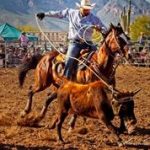 Rodeo
